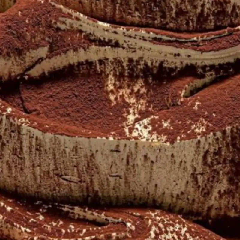 Close-up of layered tiramisu dusted with cocoa powder